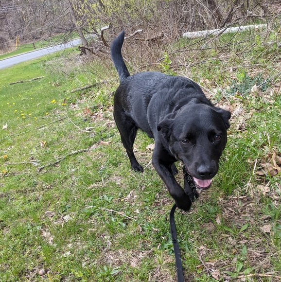 Dresses & Skirts - follow Game 🏳️‍⚧️🏳️‍🌈🇵🇸🇸🇩🇨🇩 Stay Well!